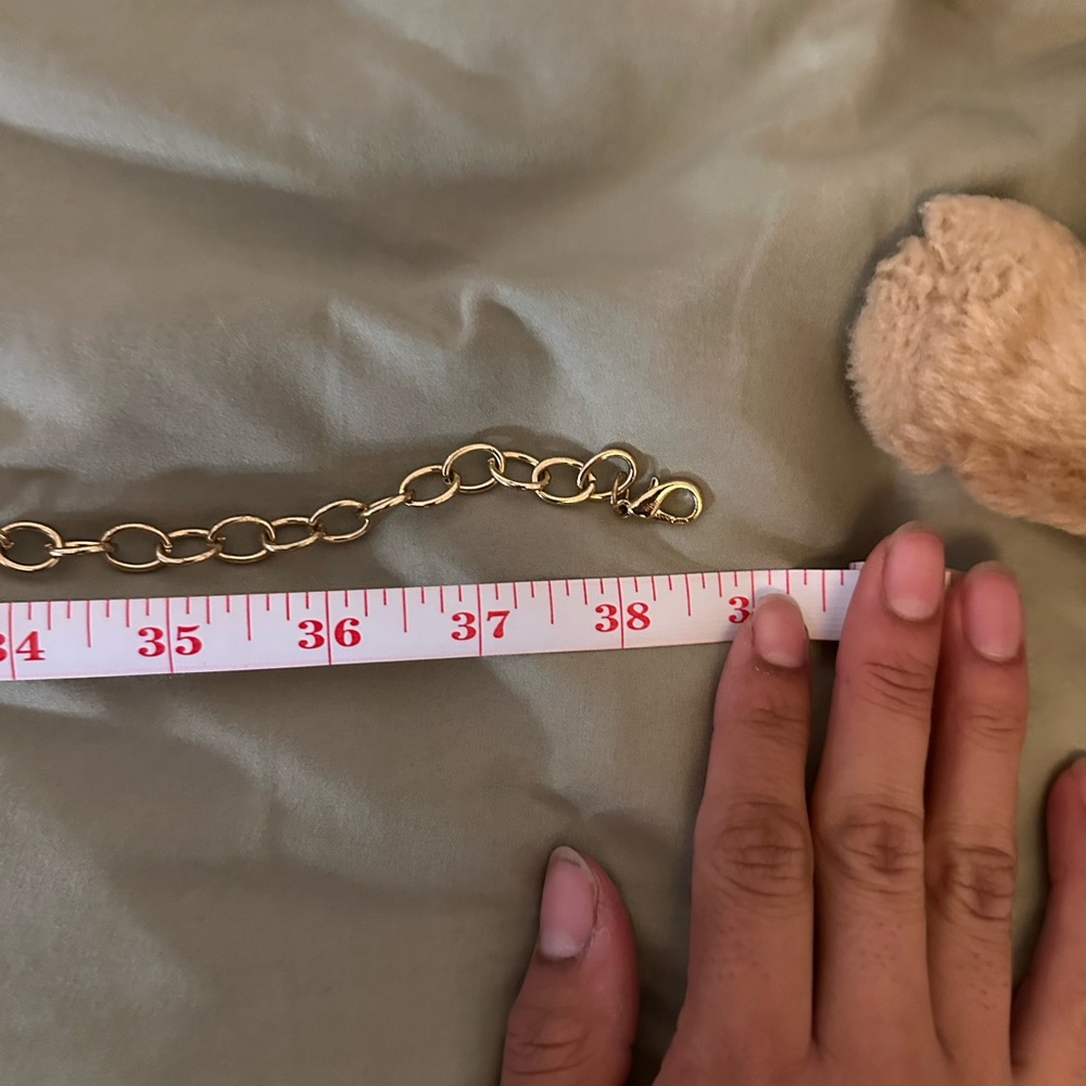 Chain Belt - Picture 4 of 4